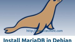 Cara Memasang Mariadb 11 di Debian 12 (Bookworm)