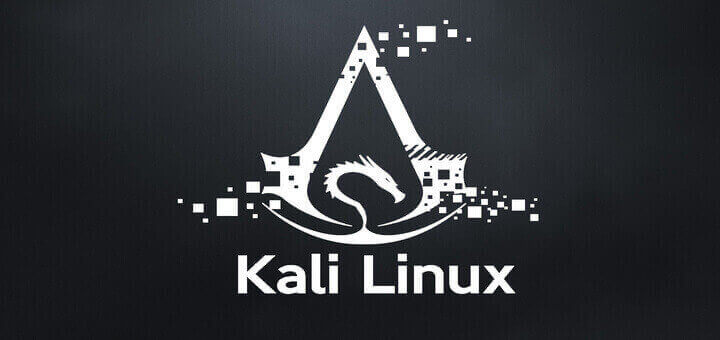 Kali Linux 2023.3の新鮮なインストールガイド