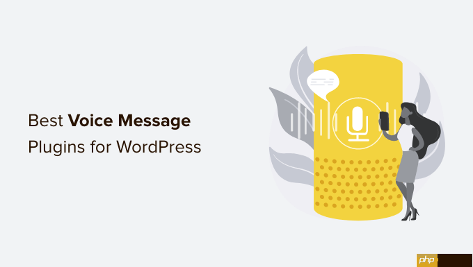 6 个最佳 WordPress 语音消息插件