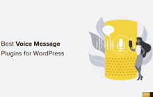 6 个最佳 WordPress 语音消息插件