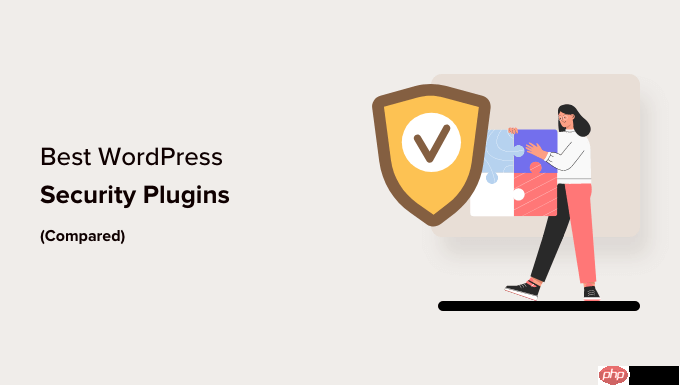 6 個保護您網(wǎng)站的最佳 WordPress 安全插件（比較）