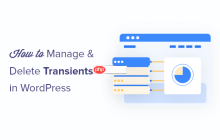 如何在 WordPress 中管理和删除瞬态（简单方法）