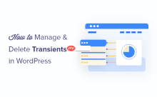 如何在 WordPress 中管理和删除瞬态（简单方法）