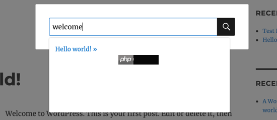 如何將搜索欄添加到 WordPress 菜單（分步）