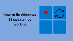 Windows 11 Update Is Not Working: How To Solve The Problem