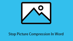 How to Stop Picture Compression in Word Windows 10 - MiniTool