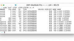 So finden Sie, wer/was an TCP -Ports auf dem Mac h?rt