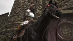 Wie man Shadowmere in Oblivion remastered bekommt