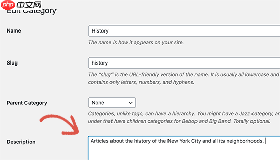 如何跟蹤 WordPress 類別和標(biāo)簽分析（簡單方法）