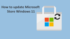 Windows 11?? Microsoft Store? ?????? ?? : Methods & Steps -Minitool