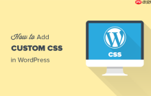 如何轻松地将自定义 CSS 添加到您的 WordPress 网站