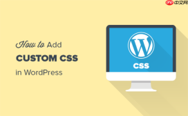 如何轻松地将自定义 CSS 添加到您的 WordPress 网站