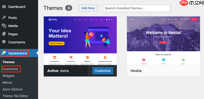 如何輕松地將自定義 CSS 添加到您的 WordPress 網(wǎng)站
