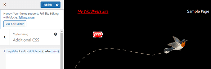 如何輕松地將自定義 CSS 添加到您的 WordPress 網(wǎng)站