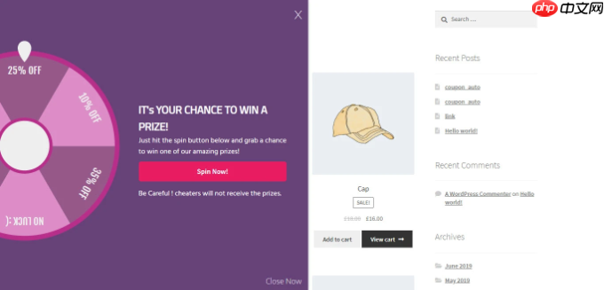 5 個最佳 WooCommerce Spin a Wheel 優惠券插件（比較）