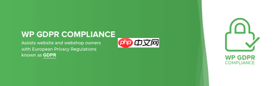 9 個可提高合規性的最佳 WordPress GDPR 插件