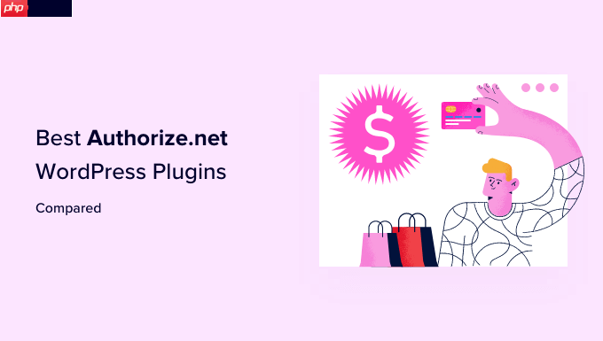 6 个最佳 Authorize.Net WordPress 插件(比较)