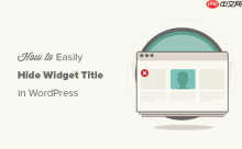 如何在 WordPress 中轻松隐藏小部件标题
