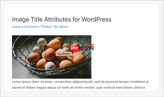 如何在 WordPress 中輕松為圖像添加標題屬性