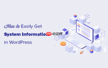 如何快速获取 WordPress 网站的系统信息