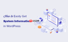 如何快速获取 WordPress 网站的系统信息