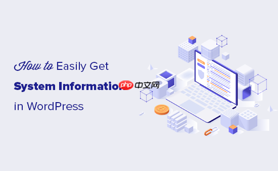 如何快速獲取 WordPress 網(wǎng)站的系統(tǒng)信息