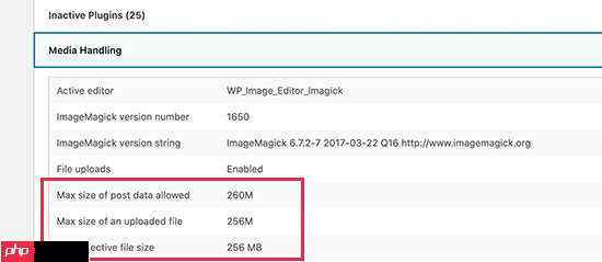如何快速獲取 WordPress 網(wǎng)站的系統(tǒng)信息