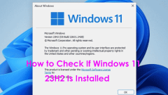 How to Check If Windows 11 23H2 Is Installed on Your PC? 4 Ways