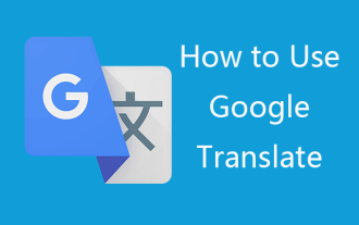 How to Download & Use Google Translate on Computer/Phone - MiniTool
