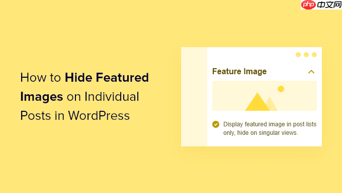 如何在 WordPress 中的单个帖子上隐藏特色图像