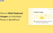 如何在 WordPress 中的单个帖子上隐藏特色图像