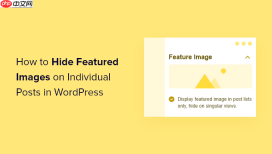如何在 WordPress 中的单个帖子上隐藏特色图像