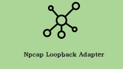 How to Fix the Npcap Loopback Adapter Issue on Windows 10?