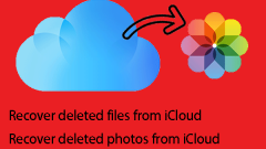 How to Recover Deleted Files/Photos from iCloud?