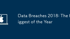 Data Breaches 2018: The Biggest of the Year