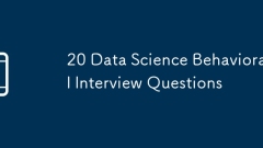 20 Questions d'entrevue comportementale de la science des données