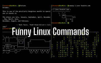 24 Hilarious Linux Commands That Will Make You Laugh