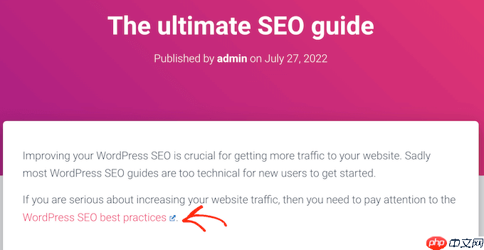 如何在 WordPress 网站上添加外部链接图标