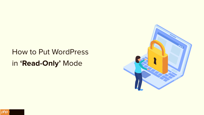 如何将 WordPress 置于只读模式以进行迁移和维护