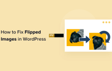 如何修复 WordPress 中颠倒或翻转的图像