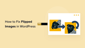 如何修复 WordPress 中颠倒或翻转的图像