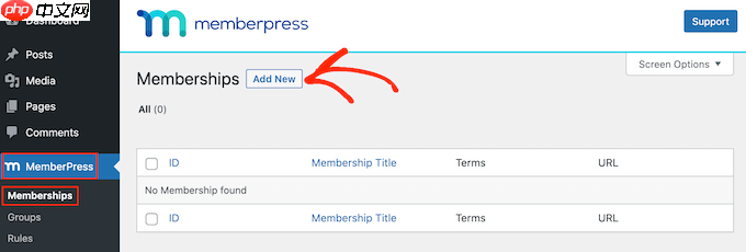 如何在 WordPress 中为企业团队出售群组会员资格