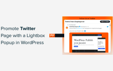 如何使用弹出窗口在 WordPress 中推广您的 Twitter 页面