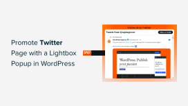 如何使用弹出窗口在 WordPress 中推广您的 Twitter 页面