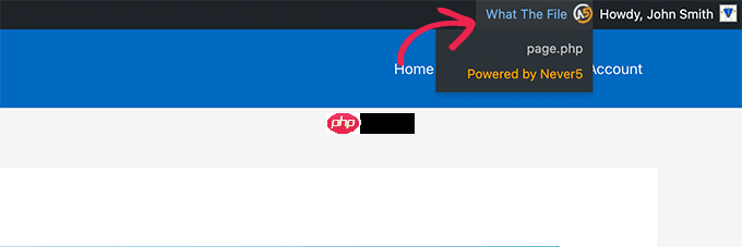 如何在 WordPress 主题中查找要编辑的文件