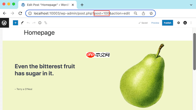 如何隐藏选择性 WordPress 帖子和页面的标题