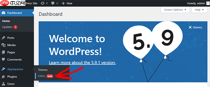 如何隐藏选择性 WordPress 帖子和页面的标题