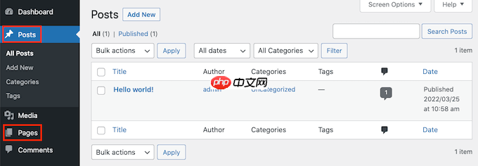 如何隐藏选择性 WordPress 帖子和页面的标题