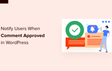 如何在 WordPress 中的评论获得批准时通知用户