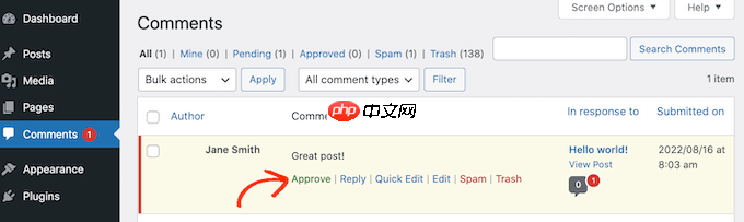 如何在 WordPress 中的评论获得批准时通知用户
